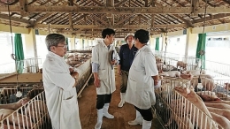 VinaCert audited and issued VietGAP livestock certificate for Tien Giang Livestock Breeding Company