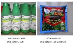 Remove glyphosate containing pesticides  from the List of permitted uses in Vietnam