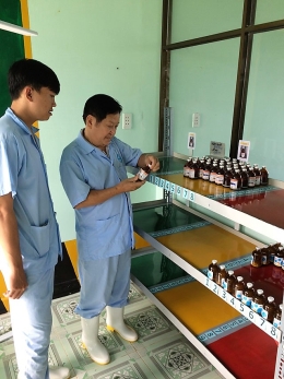 VinaCert implemented surveillance assessments under VietGAP standard at 75 livestock farms