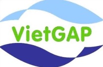 VietGAP Certification